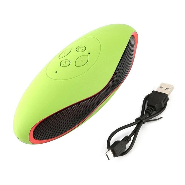 Mini Bluetooth and Wireless Portable Speaker