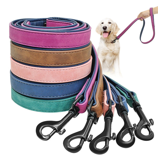 Dog Solid Leash